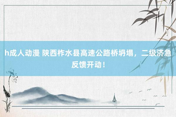 h成人动漫 陕西柞水县高速公路桥坍塌，二级济急反馈开动！