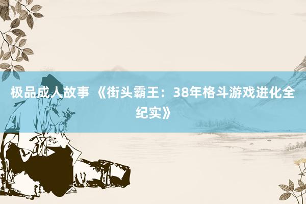 极品成人故事 《街头霸王：38年格斗游戏进化全纪实》