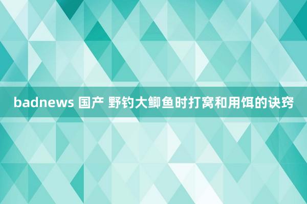 badnews 国产 野钓大鲫鱼时打窝和用饵的诀窍