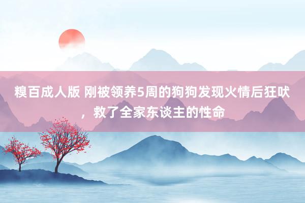 糗百成人版 刚被领养5周的狗狗发现火情后狂吠，救了全家东谈主的性命
