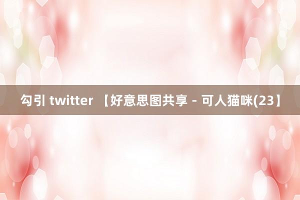勾引 twitter 【好意思图共享 - 可人猫咪(23】