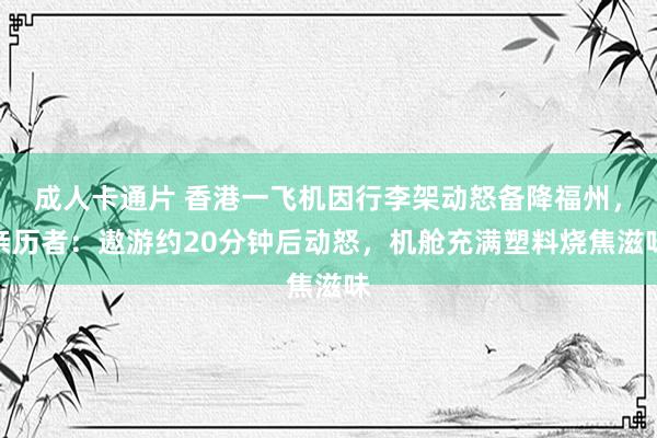 成人卡通片 香港一飞机因行李架动怒备降福州，亲历者：遨游约20分钟后动怒，机舱充满塑料烧焦滋味